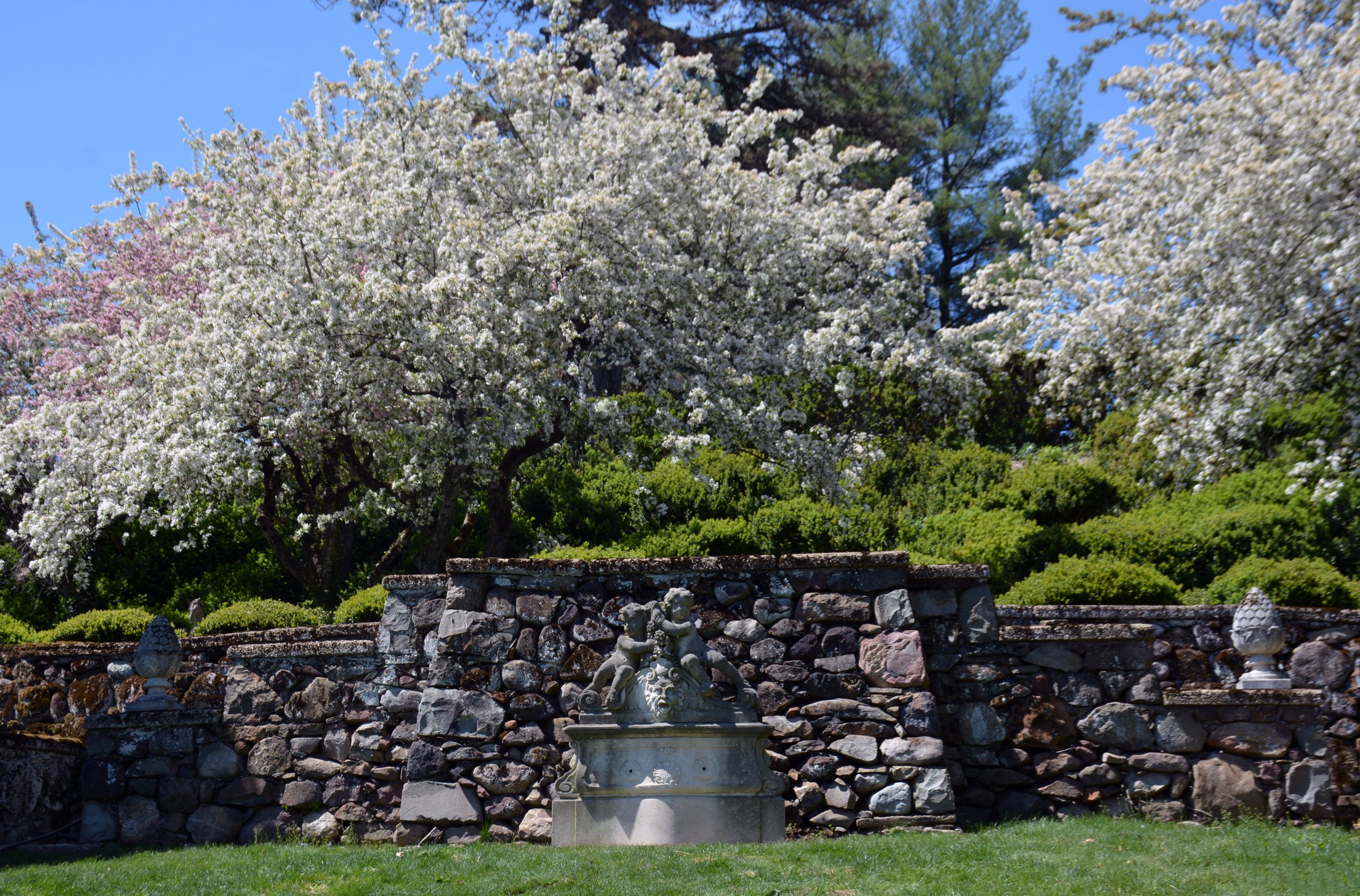 Teahouse Walk