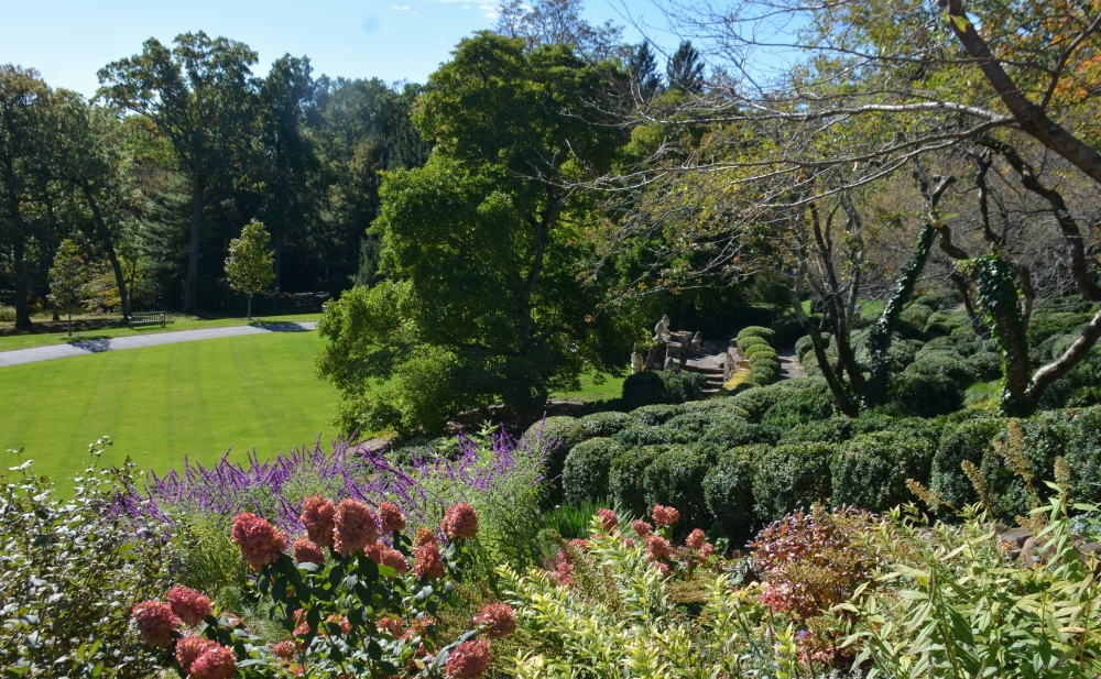 Learn about showy plants from the 2026 season